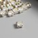 Crystal rhinestones in the DACs "Astra" 6 mm, 40 pcs/pack, silver/transparent
