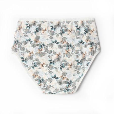 Panties female slopmiss beautiful, white/gray color, rr 3xl (50-52)-2