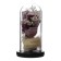 Network Sales "Bouquet" LED from batteries 3HAAA 11x11x22 cm Risalux