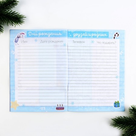 New Year. Questionnaire A5, 16 sheets, soft cover, "cool guy"-5