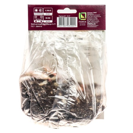 Lilies East Marco Polo, 14/16 rr, 2 pcs. 100 h (cm), autumn 2024-1