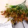 Bouquet "Primary of Florinda" 27 cm, mix