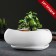 Bonsai pot, Big White, 2.5, l/ 24x28cm