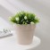 Kashpo for flowers with an insert "Porto", 1 l, pearl color