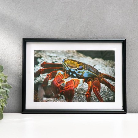 Photo frame A4 21x30 cm 45-n (f) black (plastic screen)