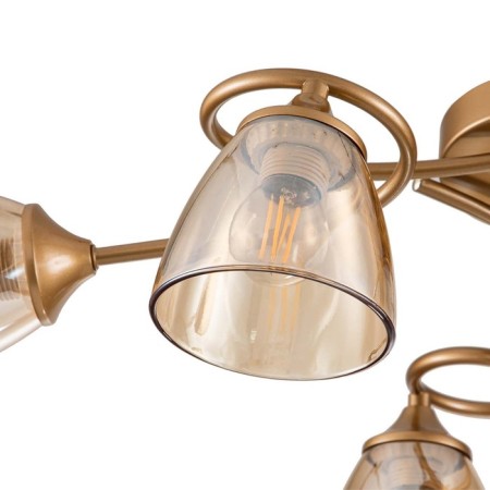 Celosia ceiling lamp E27x60W-2