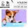 Album for drawing A4 24 sheets on the paper clip “September 1: Corgi” cover 160 g/m2, paper 100 g/m2.