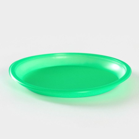 Plastic plastic disposable, d = 21 cm, green color, 12 pcs/un