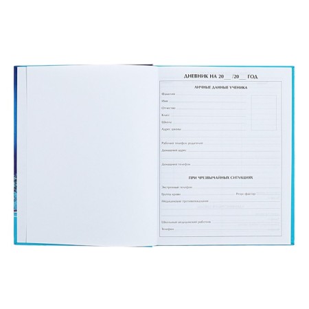 Universal diary for grades 1-11 Northern Lights, hard cover, holography, 40 sheets-3