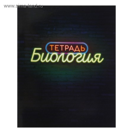 A set of subject notebooks of 48 sheets "Neon", 10 items with reference material, cover coated cardboard, UV-lax, OFSET BOCom-28
