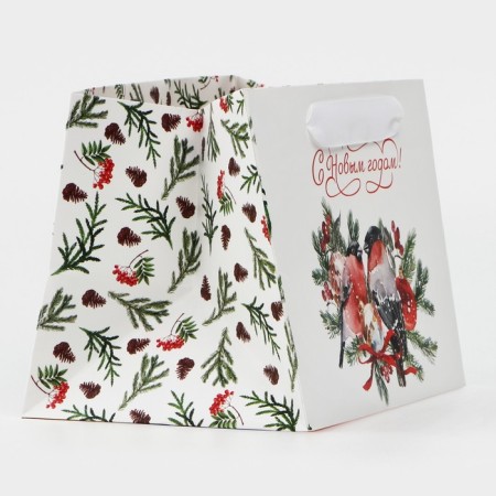 Gift package with a wide bottom "Bullfins", 20 x 14 x 13.2 cm, New Year-3