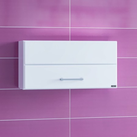 Suspension cabinet "Omega 600*300" horizontal