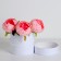 Gift box, round, white, with a lace, 12 x 12 cm