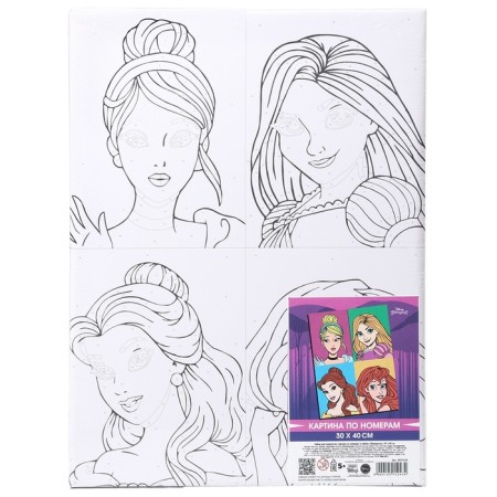 Picture on numbers on a subframe 30x40 cm, princesses-7