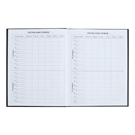 Universal diary for grades 1-11 Anime. Music, hard cover, holography, 40 sheets-5