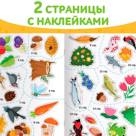 A book with the stickers “Cover, paint, stick. Forest animals"-4