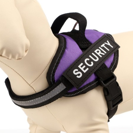 C9 sloping is soft reflective, size XS, OG 38-50 cm, weight 3-6 kg, purple weight-2
