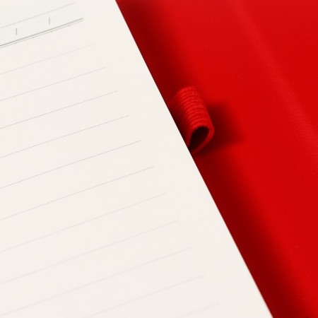 Organizer on the rings A6+, 80 sheets, leatherette, with a valve, a line, with a handle, in a gift box, red-7