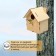 The birdhouse "Gnezdshko", 15.5 × 11.5 × 12 cm, Greengo