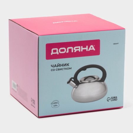 A kettle with a stainless steel whistle “Quantum”, 2.8 l, fixed handle, chrome color-11