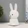 Night-mesh "Bunny" LED USB AKB white-yellow 13.5x11x15 cm