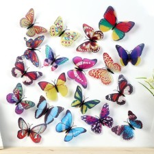 Magnet Plastic 