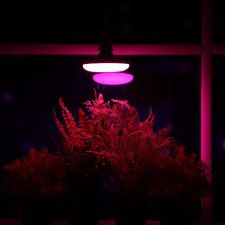 LED phytolamp, UFO, E27, 16 W, IP20, 220 V, D = 120 mm, 120 °, multi -pointral