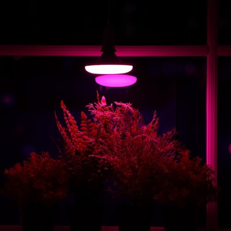 LED phytolamp, UFO, E27, 16 W, IP20, 220 V, D = 120 mm, 120 °, multi -pointral