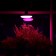 LED phytolamp, UFO, E27, 16 W, IP20, 220 V, D = 120 mm, 120 °, multi -pointral