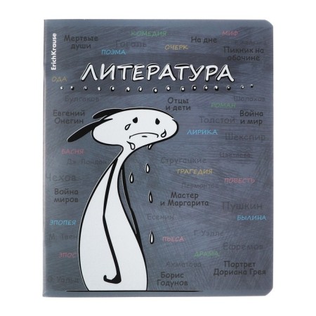 A set of subject notebooks 48 sheets, 12 pieces, Erichkrause "Chubrik", plastic cover silk-screen covers, Blok Offset 100%, information block-7