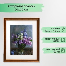 Photo frame 20x25 (3N80) Walnut (plastic screen)