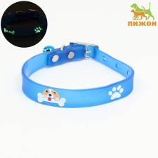 Collar with luminous elements 