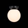 Wall lamp EVOLUCE. SL717.401.01. Acini. 1x40 W, E27, 18x18x22 cm, black color