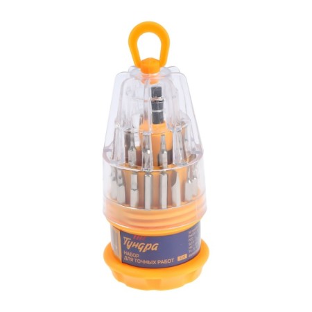 Set for accurate work of the tundra, CRV, holder with bits, in the case, 31 subject-3