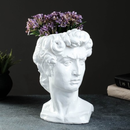 Kashpo - Organizer "David's head" Belaya, 19x27x17cm