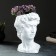 Kashpo - Organizer "David's head" Belaya, 19x27x17cm
