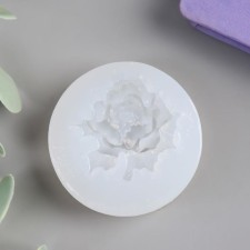 Mold Silicon 