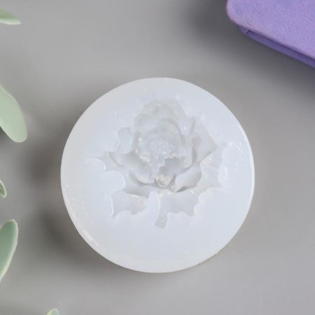 Mold Silicon "Pion" 1.3x4.5x4.5 cm