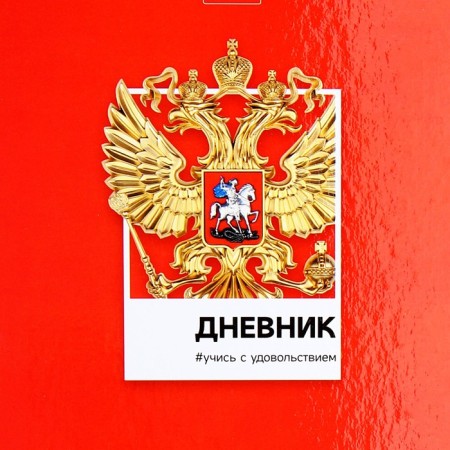 Universal diary for grades 1-11 Russia, hard cover, glossy lamination, 40 sheets-3