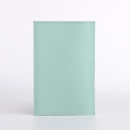 Cover for passport, mint color-1