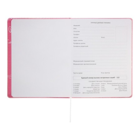 Universal diary for the 1-11 grade Forget Trubles, solid cover, artificial leather, silkography, lies, 80 g/m2-4