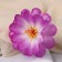 Artificial flowers "Loner Chrisp" D-11 cm H-20 cm, lilac