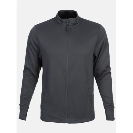Long -line male Resport, on a zipper, p. 54, the color is gray, basic, with a long sleeve-10