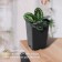 Pot for seedlings, 7 l, d = 21 cm, h = 27.5 cm, black