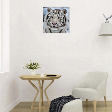 Picture on the subframe "White Tiger" 40*40 cm-2