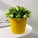 Pot for flowers with a paragon "Rotan", 1.2 l, yellow color