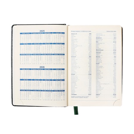 Dated diary of 2025, A5, 168 sheets in the ruler, leatherette "Nebraska", gold cut, green-6