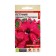 Flower seeds Petunia "Aphrodite", purple fringe, F1, SE. Alt, c/n, 5 pcs