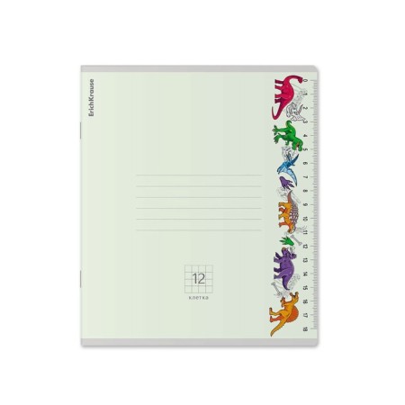 Notebook of 12 sheets in the Erichkrause "Ruler Hobby", the cover coated cardboard, an offset block 100%, mix-6