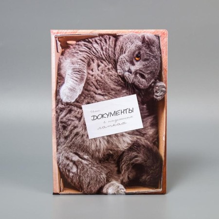Family Documents folder "Your documents in reliable paws" 8 files A4-4